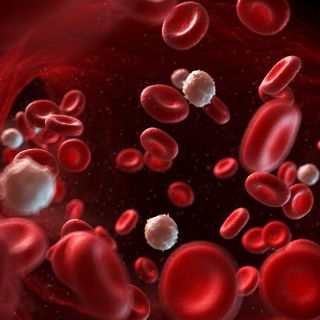 Réduit le stress et l’inflammation
