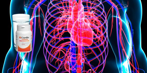 Cardiotonus vrais avis, témoignages, opinions et ce que ceux qui l'ont essayé ont à direErexol vrais avis, témoignages, opinions et ce que ceux qui l'ont essayé ont à dire Cardiotonus vrais avis, témoignages, opinions et ce que ceux qui l'ont essayé ont à direErexol vrais avis, témoignages, opinions et ce que ceux qui l'ont essayé ont à dire